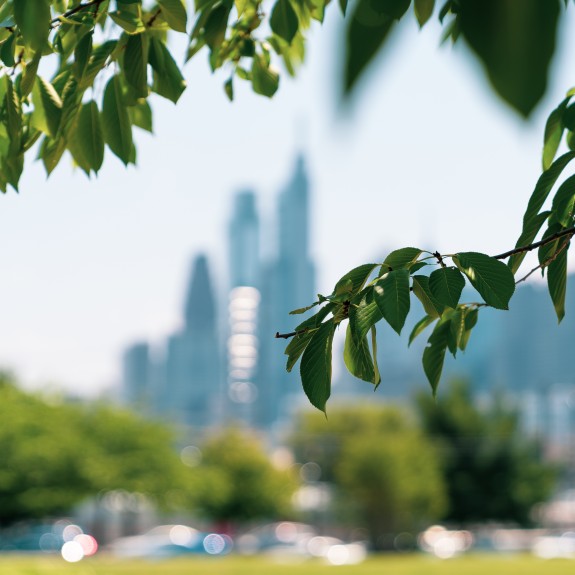 Philadelphia Skyline with Greenery in Foreground From Drexel Park
