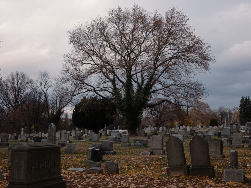 Graves at Philadelphia's Mount Peace Cemetery