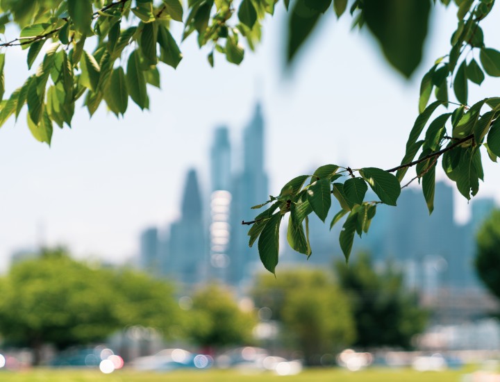 Philadelphia Skyline with Greenery in Foreground From Drexel Park